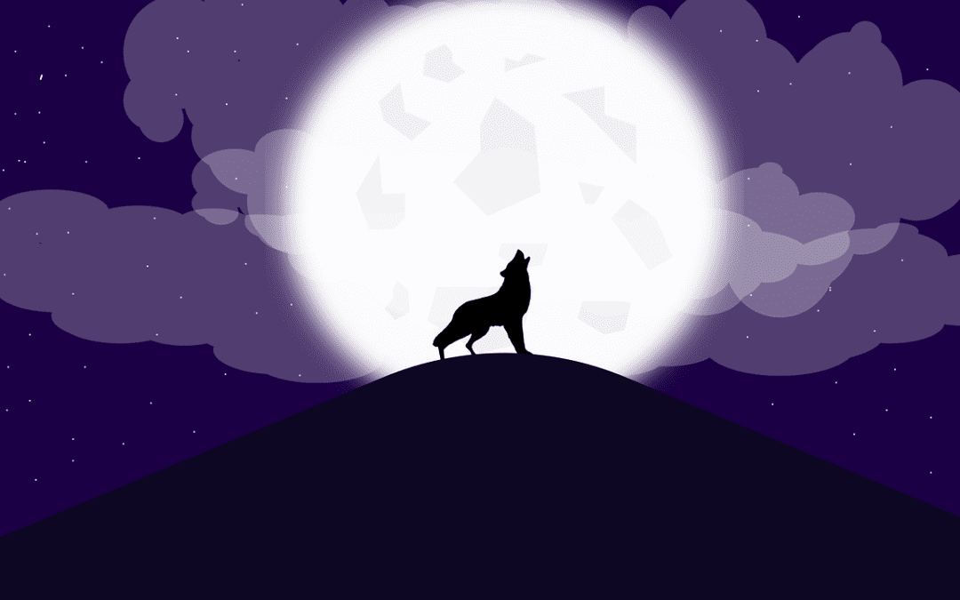 Ces 10 jeux de société comme loup-garou qu’on aime tant !