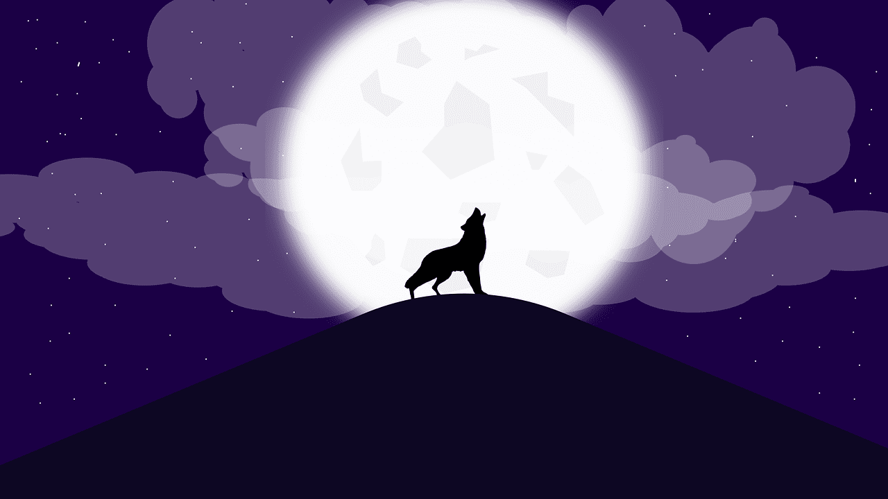 RÈGLES C’EST QUOI LE JEU DU LOUP GAROU ? YouTube