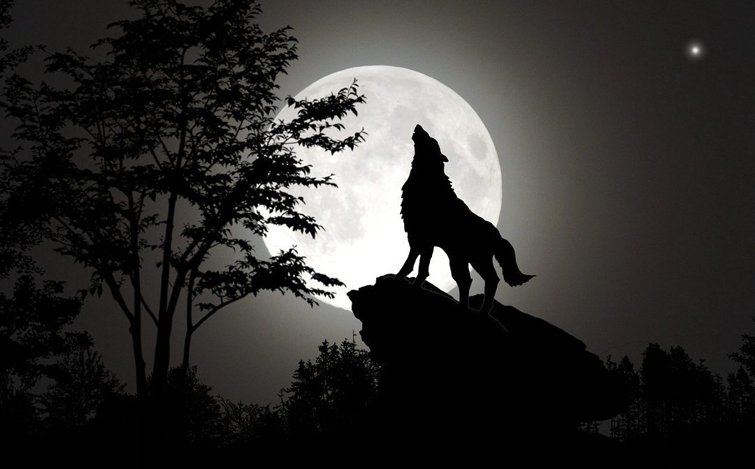 5 autres jeux comme loup-garou !