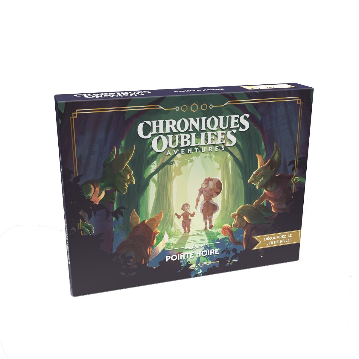 Chroniques_Oubliées_Fantasy_PointeNoire